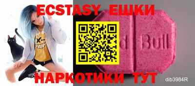 тгк Славгород