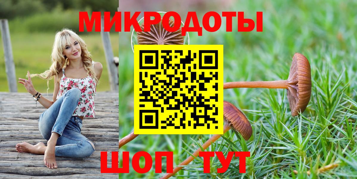 Псилоцибиновые грибы Psilocybe  Вход с VPN  Чебаркуль 