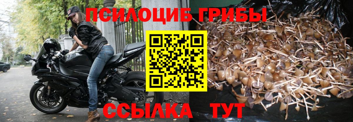 Галлюциногенные грибы мухоморы Чебаркуль